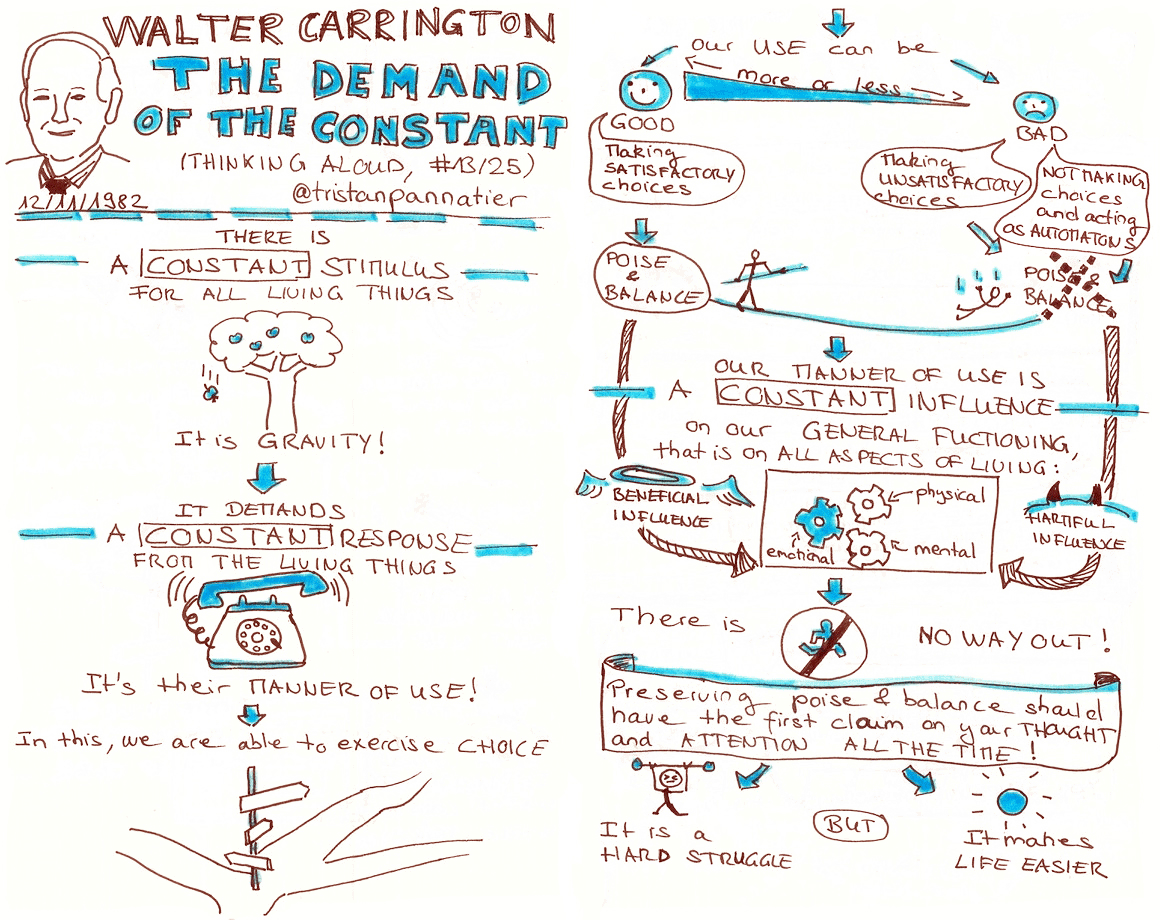 Walter Carrington Thinking aloud The demand of the constant Sketchnote