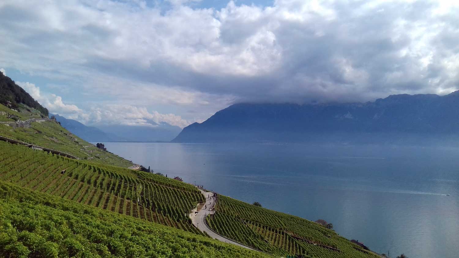 lavaux